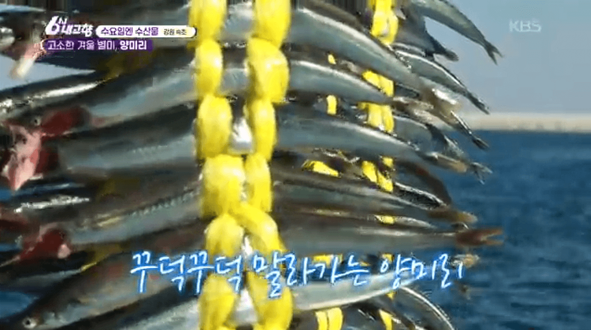 [6시내고향]강원도 속초 양미리 도루묵 오징어 &amp;#39;금성호&amp;#39; 택배 연락처 정보