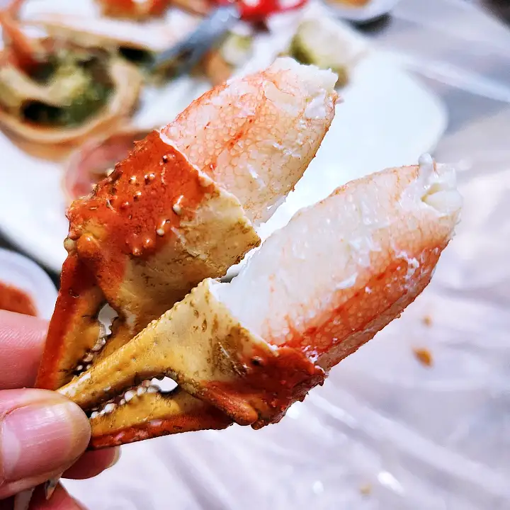 어서와 한국은 처음이지 대게 풀코스 횟집 가리비 멍게 게불 산낙지 전복 이탈리아 미슐랭 미쉐린 셰프 파브리 친구들 편 포항 죽도시장 맛집 위치