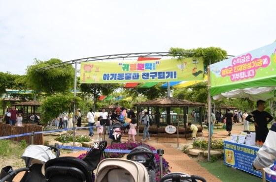 2025 함평 나비 축제 일정부터 주차&middot;입장료까지! 꿀팁 총정리