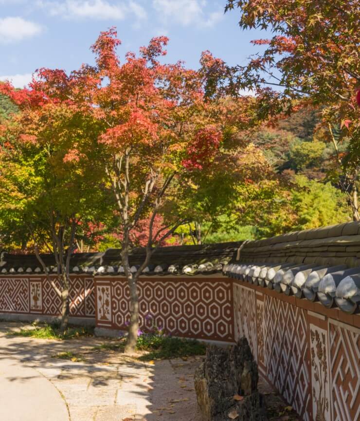 전통담장과 단풍