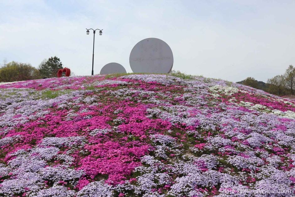 산청 가볼만한곳 베스트10