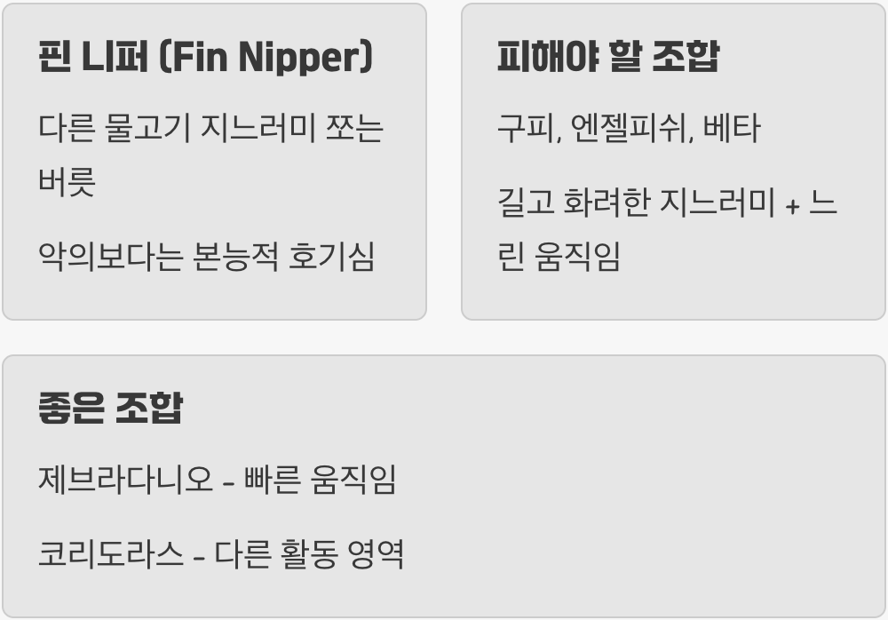 합사 - '느리고 화려한' 친구는 금물!