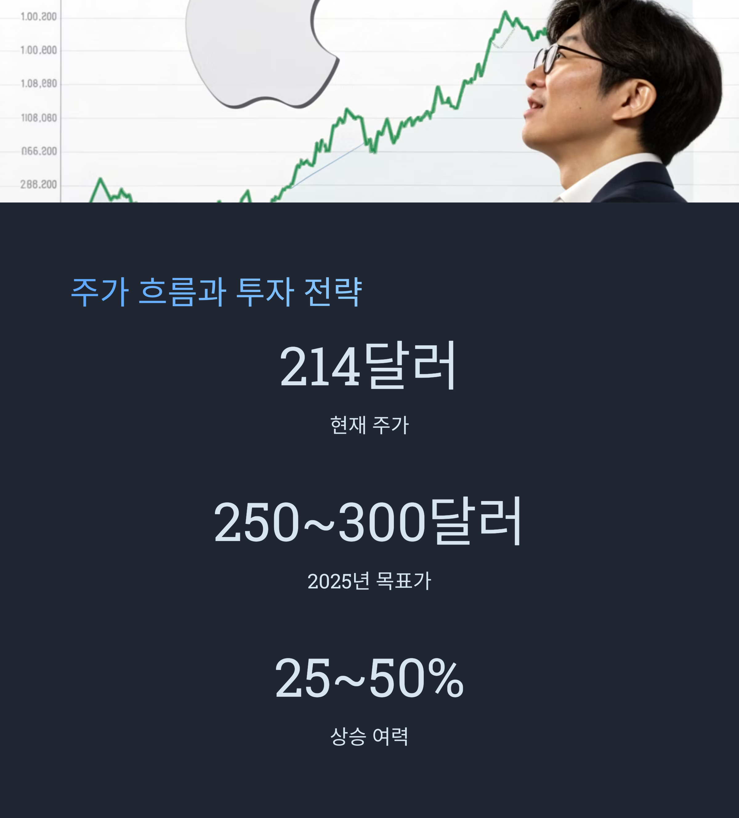 애플 투자 전략과 주가 흐름