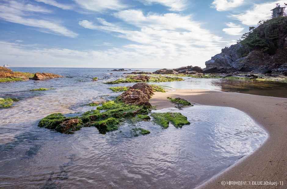 동해 고불개해변