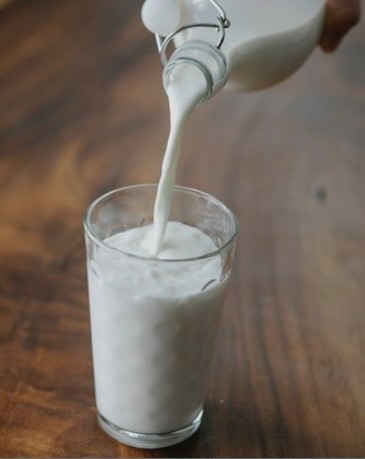 트립토판이 함유된 식품