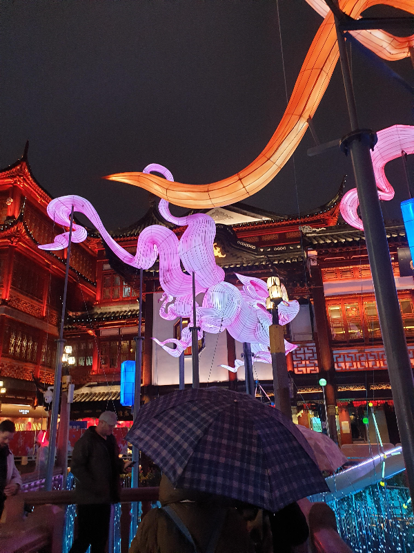 하늘을 날고 있는 이름모를 동물