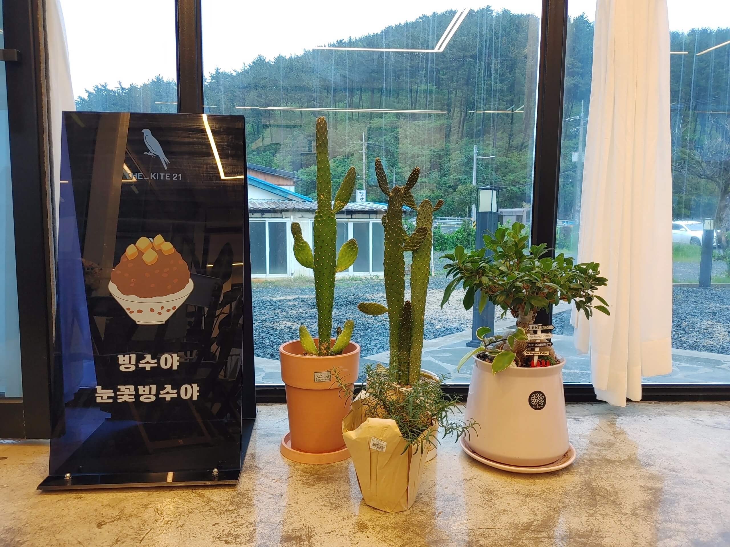 더_카이트21_카페_눈꽃빙수
