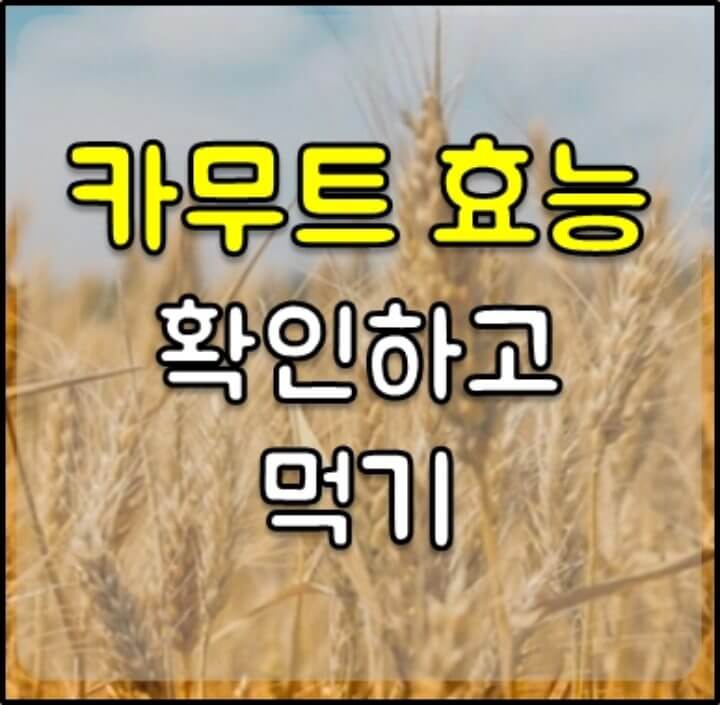 카무트 효능 썸네일