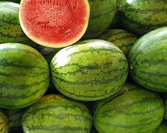 순환 경제 관점에서의 폐식물성 플라스틱 가치