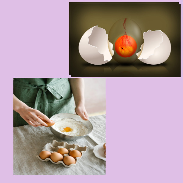 천식, 기침에 좋은 음식