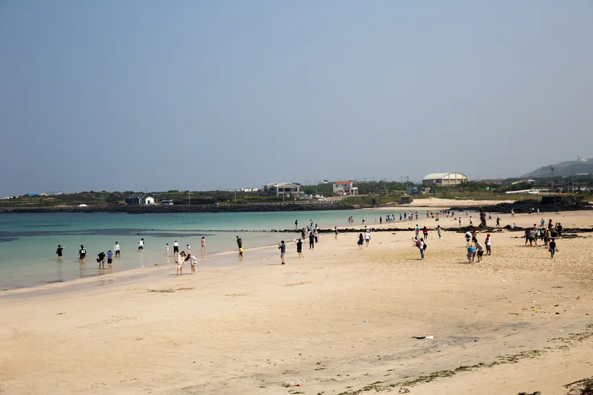 푸른 바다와 초원이 어우러진 우도 전경과 땅콩아이스크림