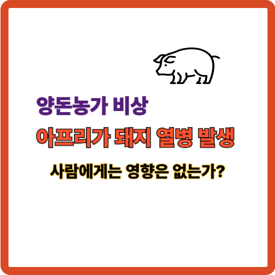 아프리카돼지열병 다시 발생 안내