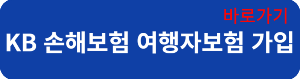 KB손보가입