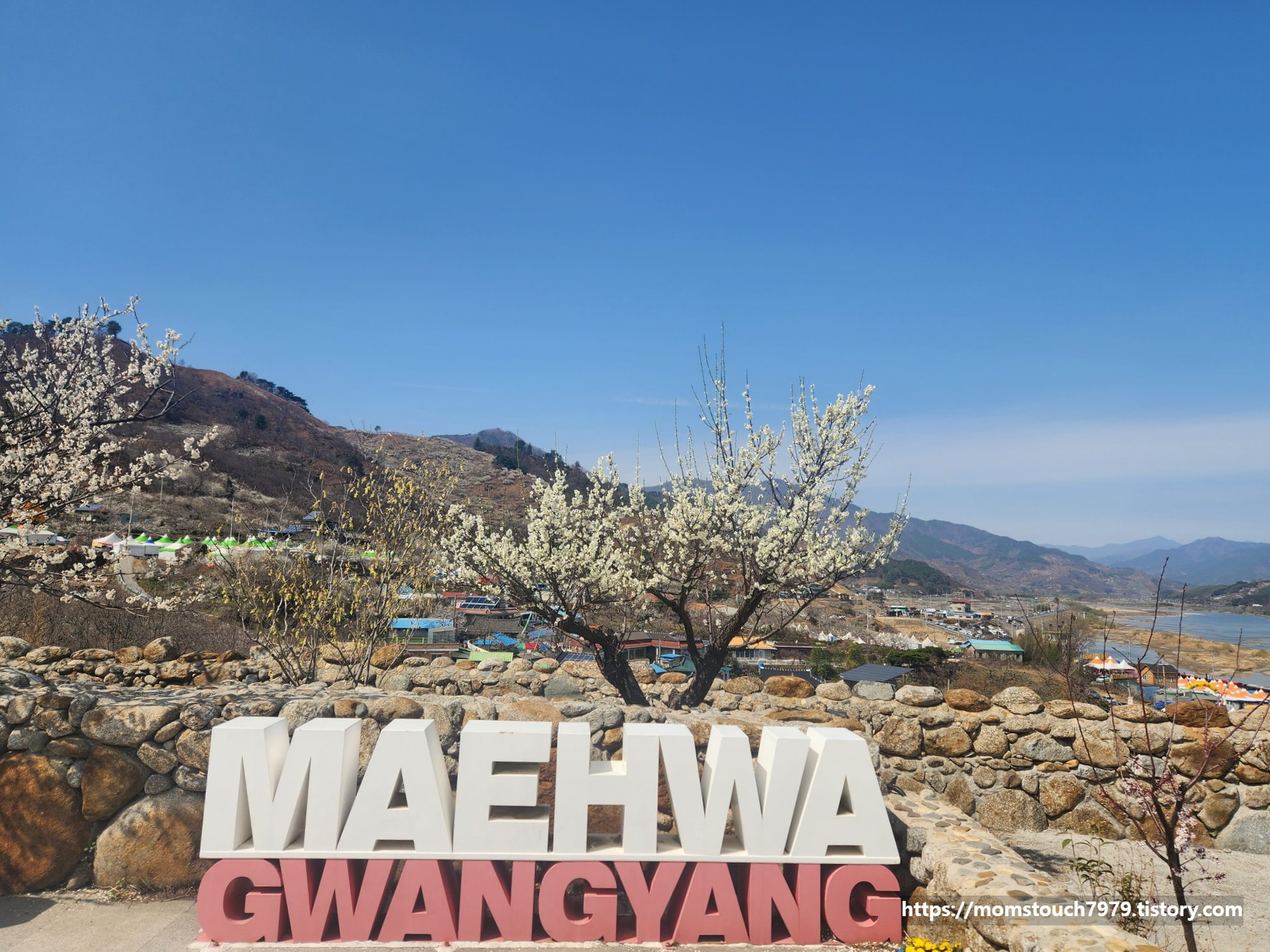 광양 매화마을 풍경