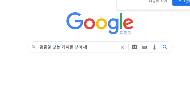 코드가 실행되면서 웹페이지가 뜨고 검색어가 입력됨