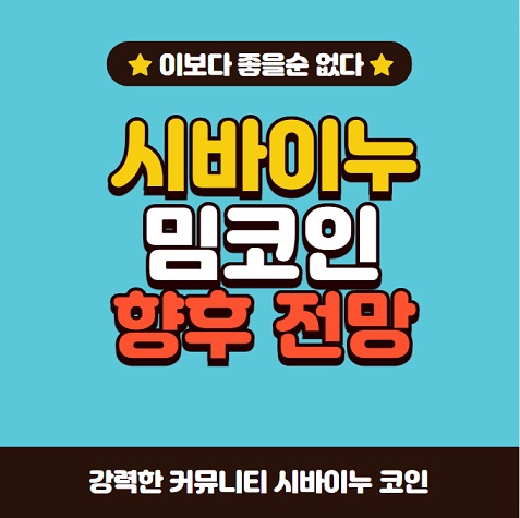 시바이누 코인 시세 전망 강점 기능