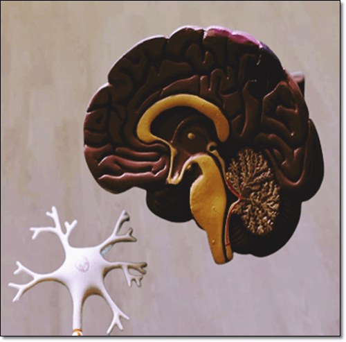 도파민 효능제 효능