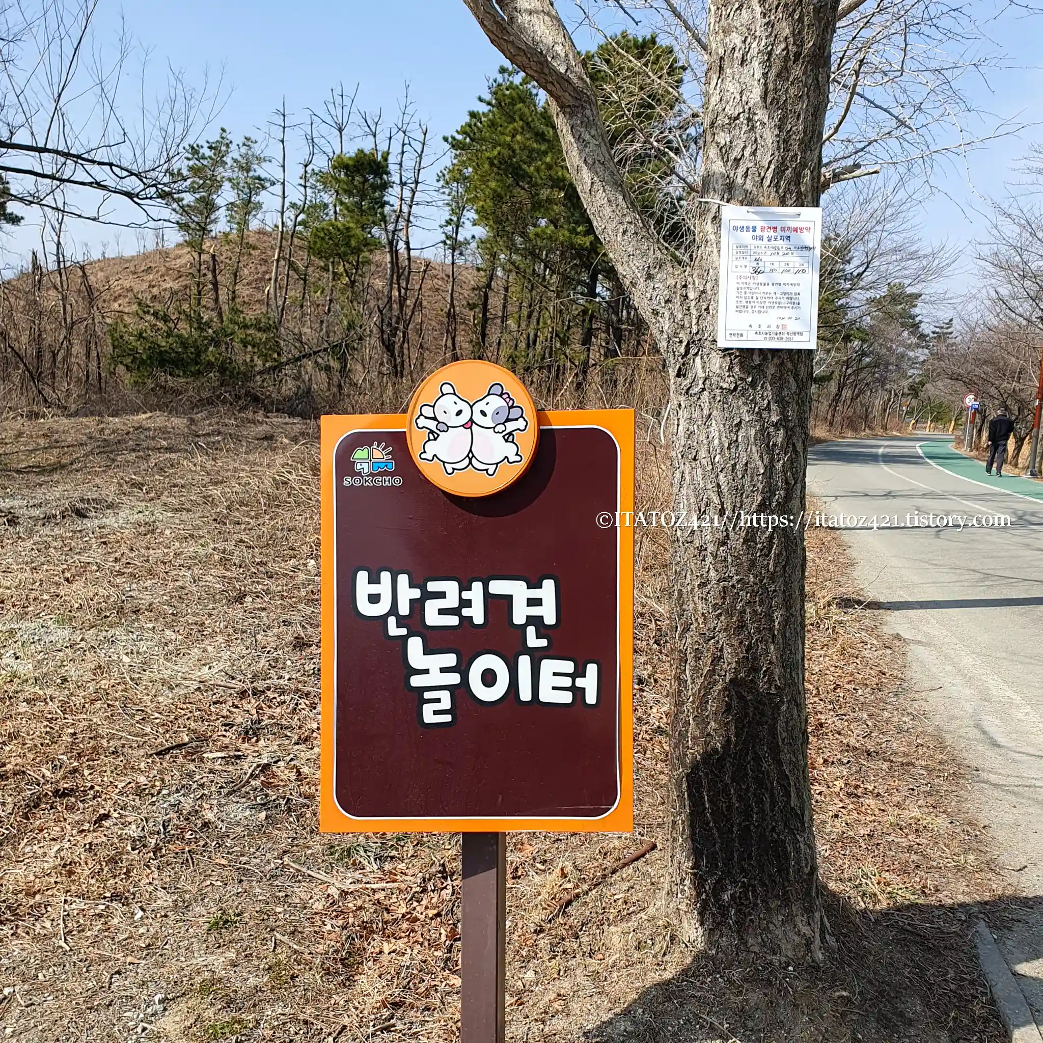 영랑호 반려견 놀이터