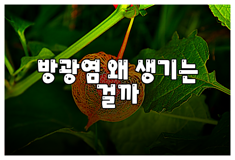 방광염 왜 생기는 걸까