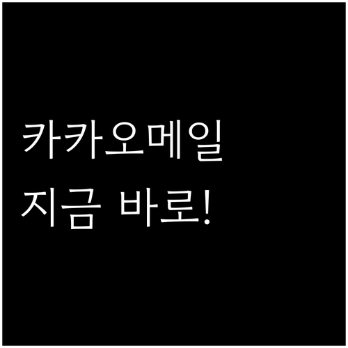 기존 카카오 계정으로 바로 시작하는 ..