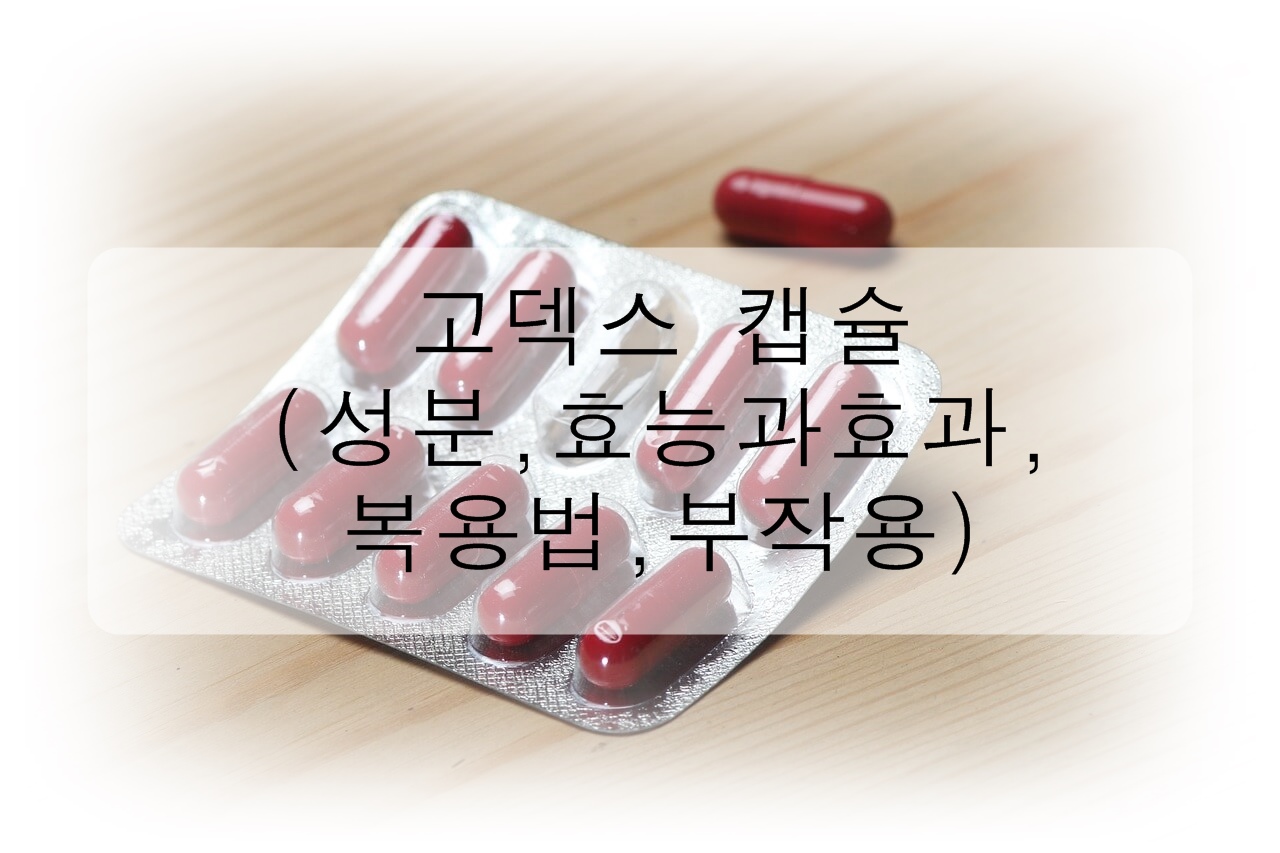 [ 간질환 ] 고덱스 캡슐을 알아보자! (성분, 효능과 효과, 복용법, 부작용)