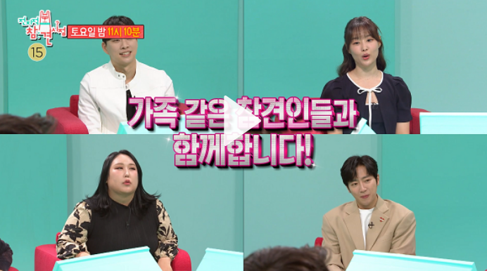 전참시 재방송보기