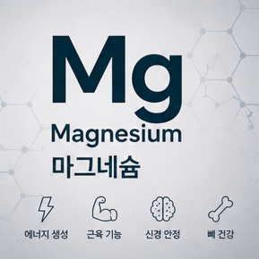 고사리두부조림이미지