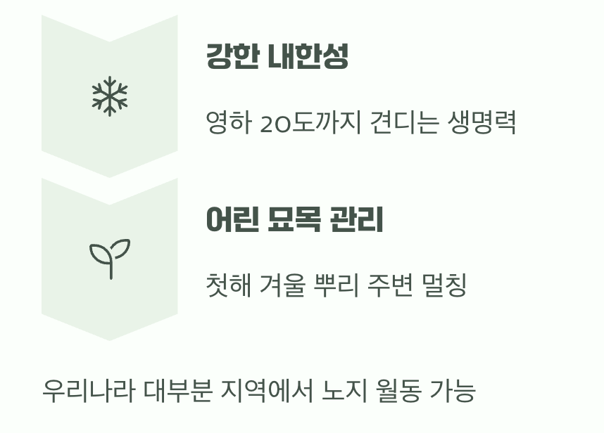 비결 5. 추운 겨울도 거뜬하게, '월동'