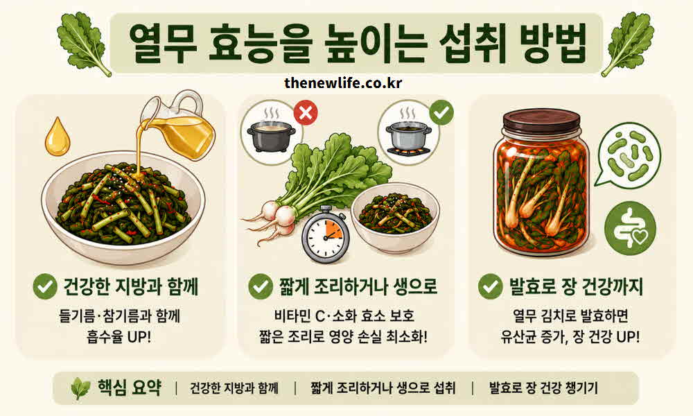 열무 효능 높이는 섭취 방법