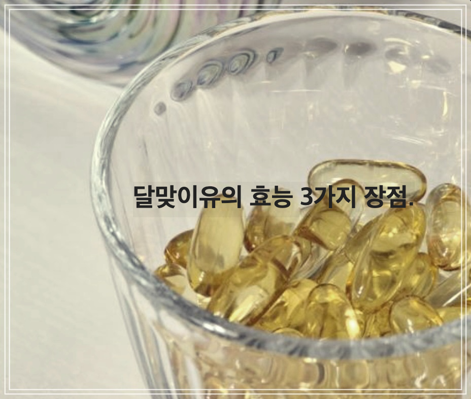 달맞이유의 효능 3가지 장점.