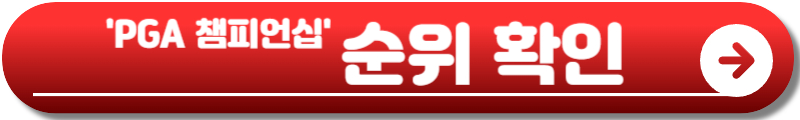 PGA 챔피언십