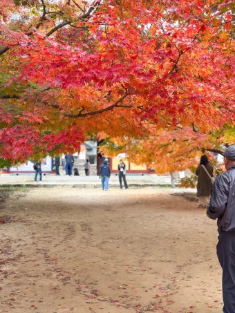 단풍구경 전국 명산 50대 이상 안전한 등산로 추천_20
