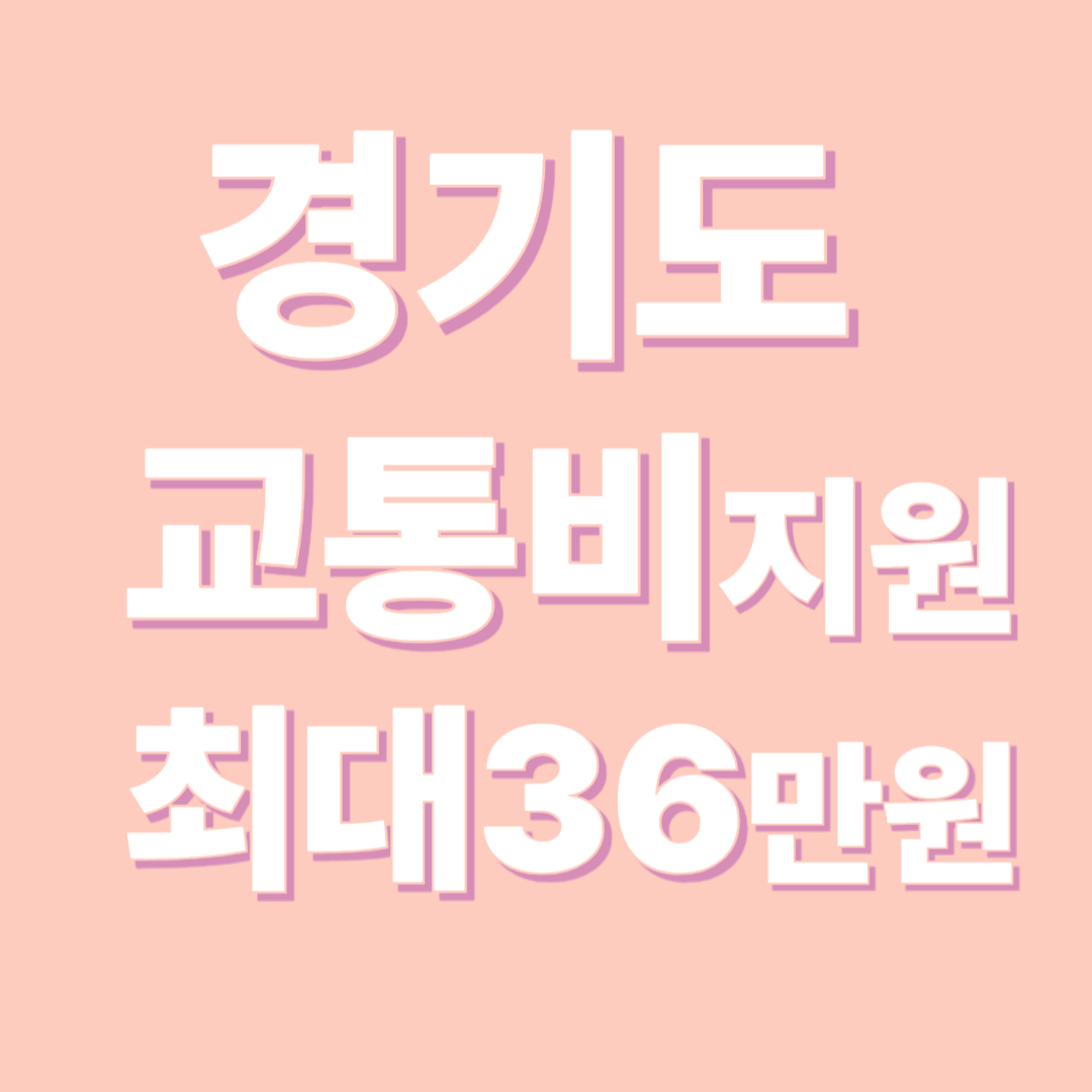 경기도 70세 이상 교통비 지원