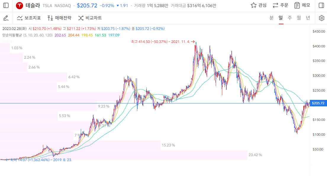 테슬라 주가-일봉