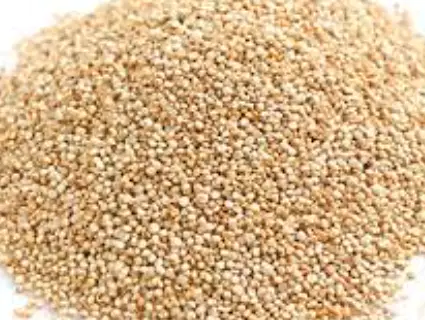 당뇨에-좋은-음식-건강