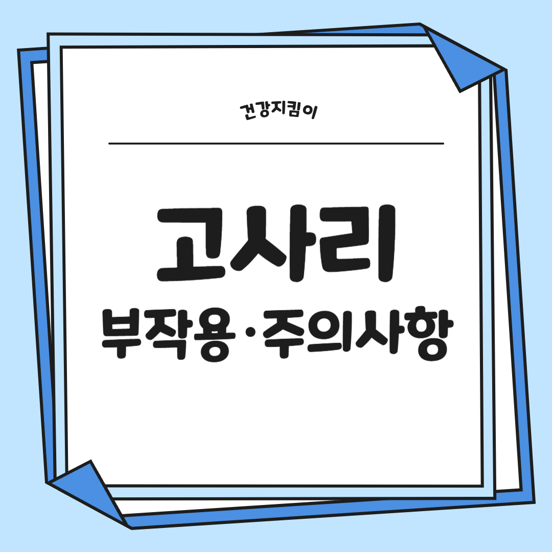 고사리 효능과 부작용 고르는법 칼로리
