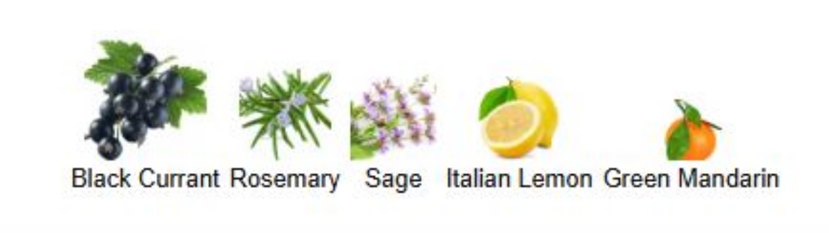 러쉬 정크 노트별 향료