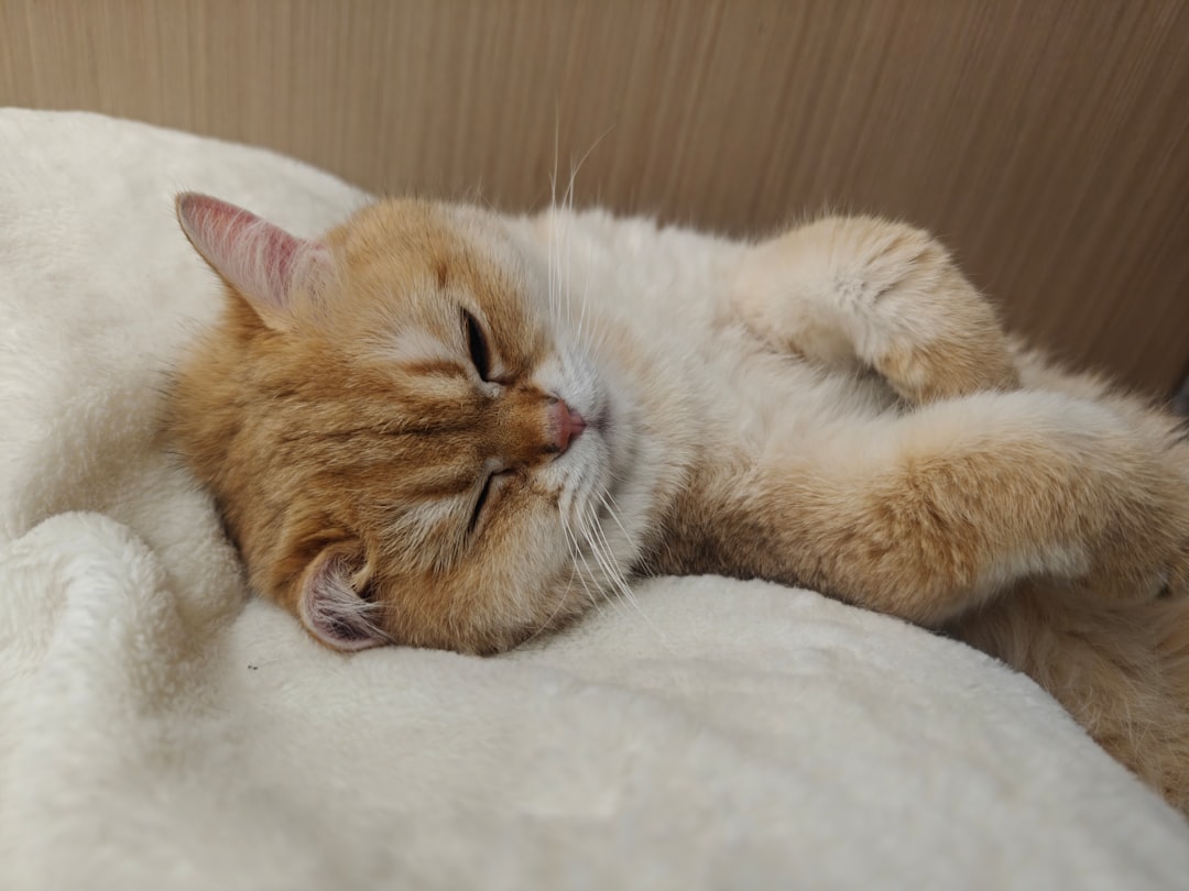 Sleep mode