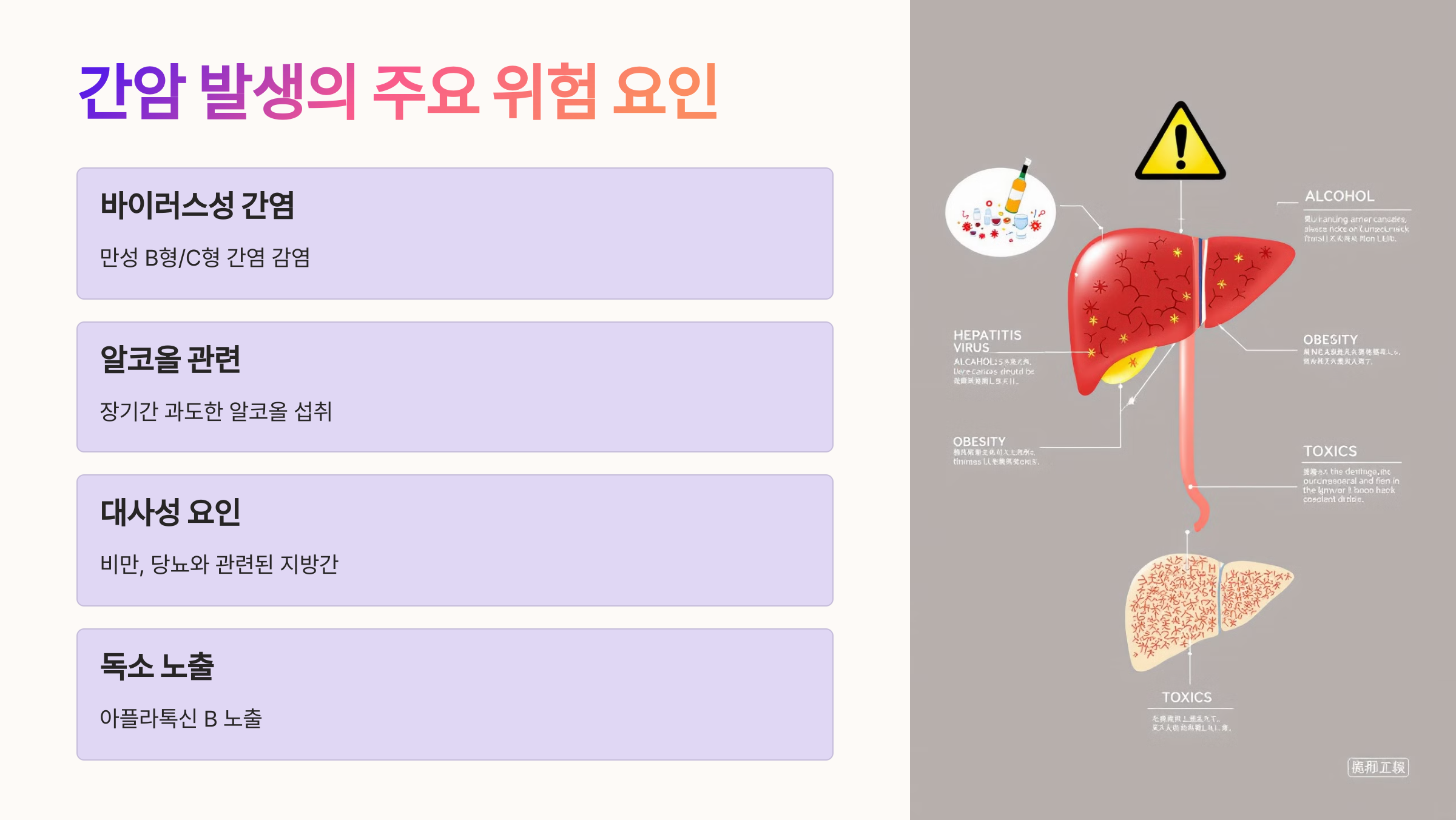 간암 발생의 주요 위험 요인