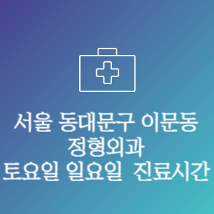 서울 동대문구 이문동 정형외과 주말 토요일 일요일 문여는 병원 진료시간