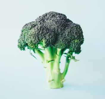 뼈 건강에 좋은 음식 10