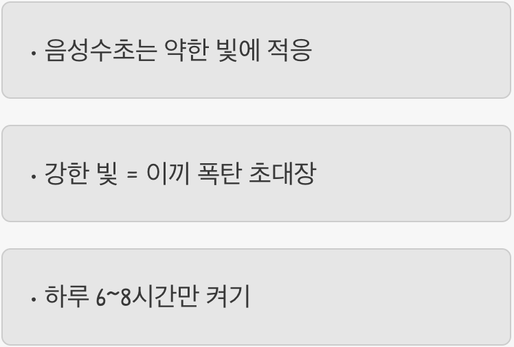 조명, 강할수록 독이 된다