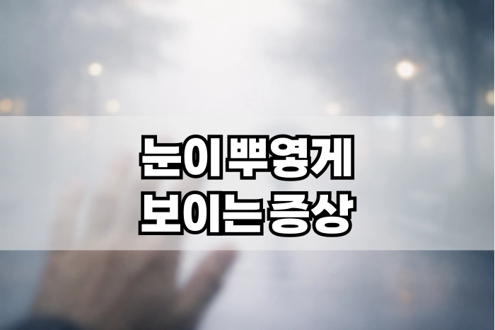 눈이 뿌옇게 보이는 증상