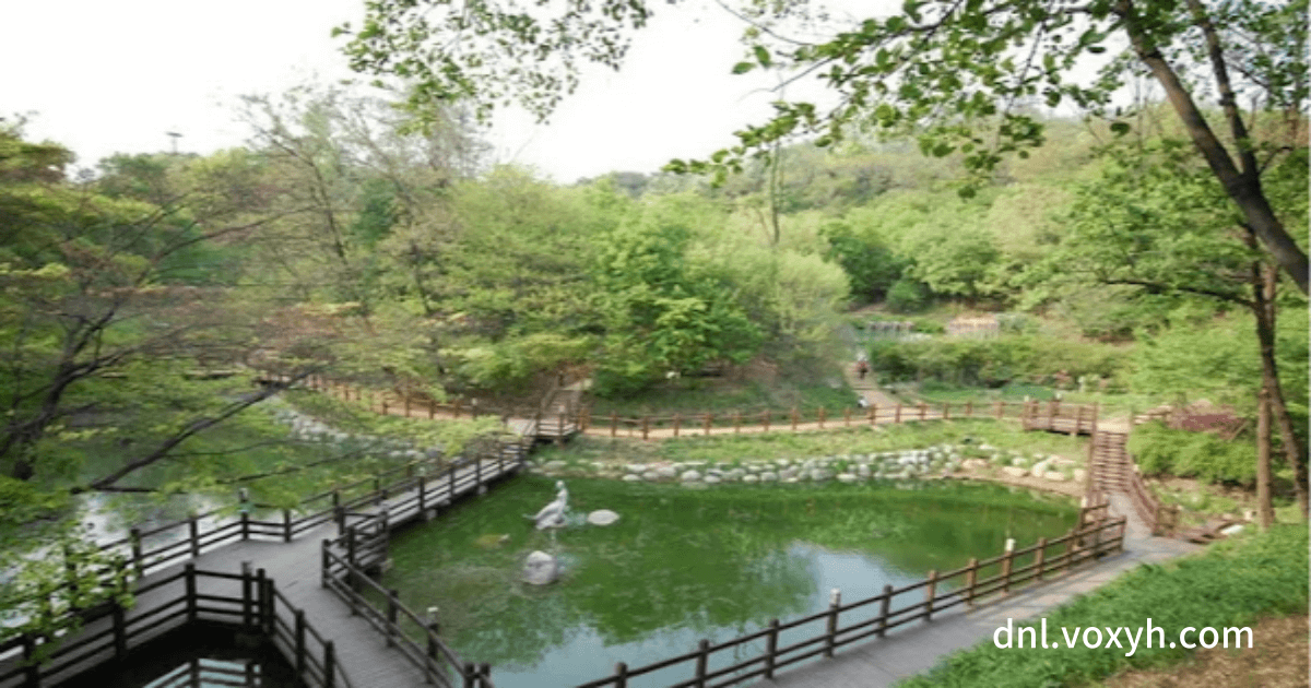 아차산의 풍부한 생태계 연못