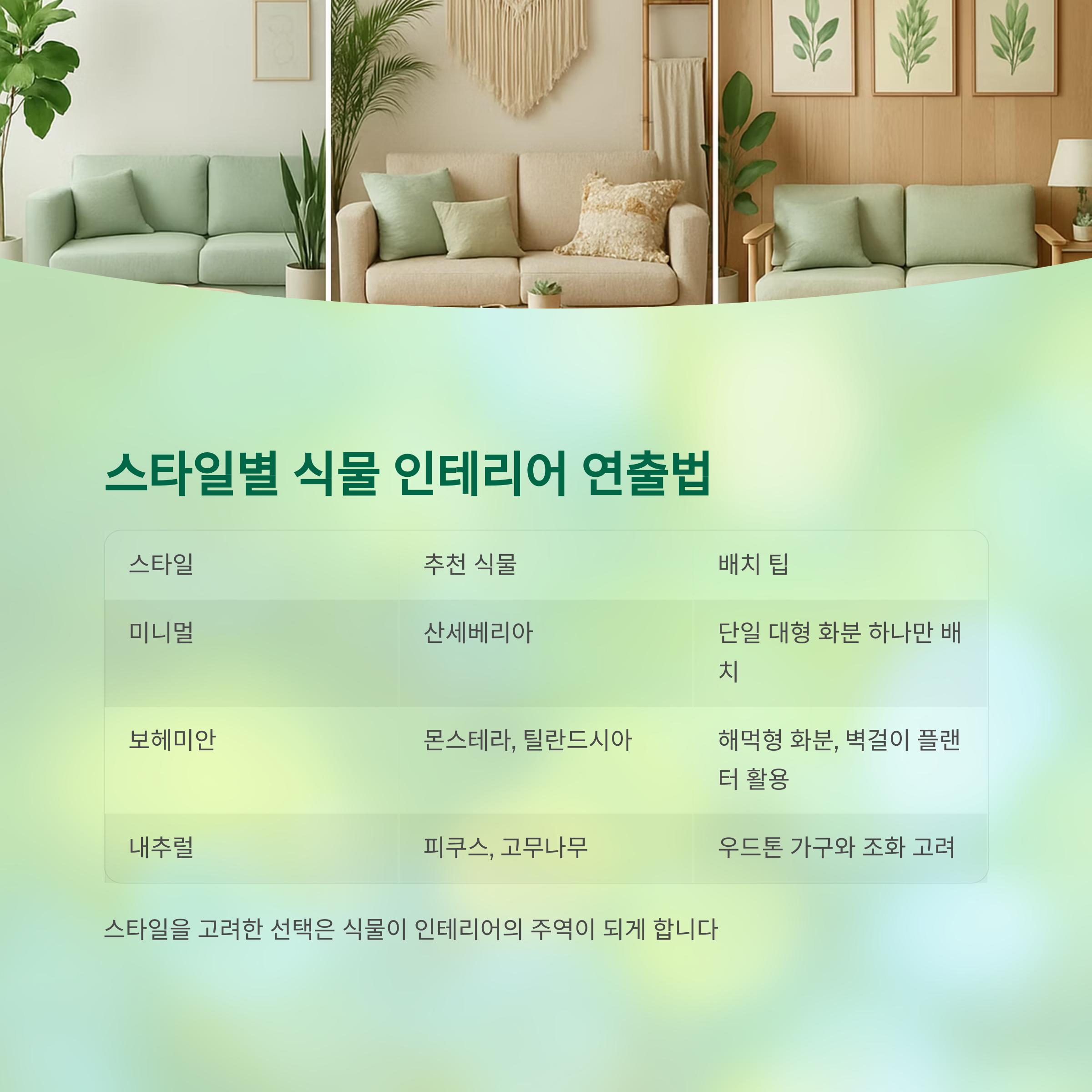 스타일별 식물 인테리어 연출법