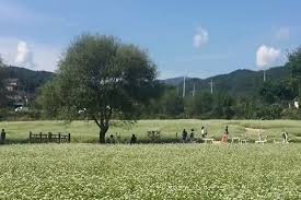 9월 국내여행지 베스트10 추천