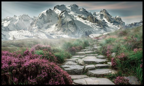 아르기닌 효능 알아보기18