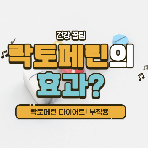 락토페린 총정리