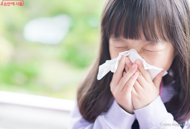 환절기 알레르기 비염 예방법|국가 지원 상담 & 무료 교육 정보