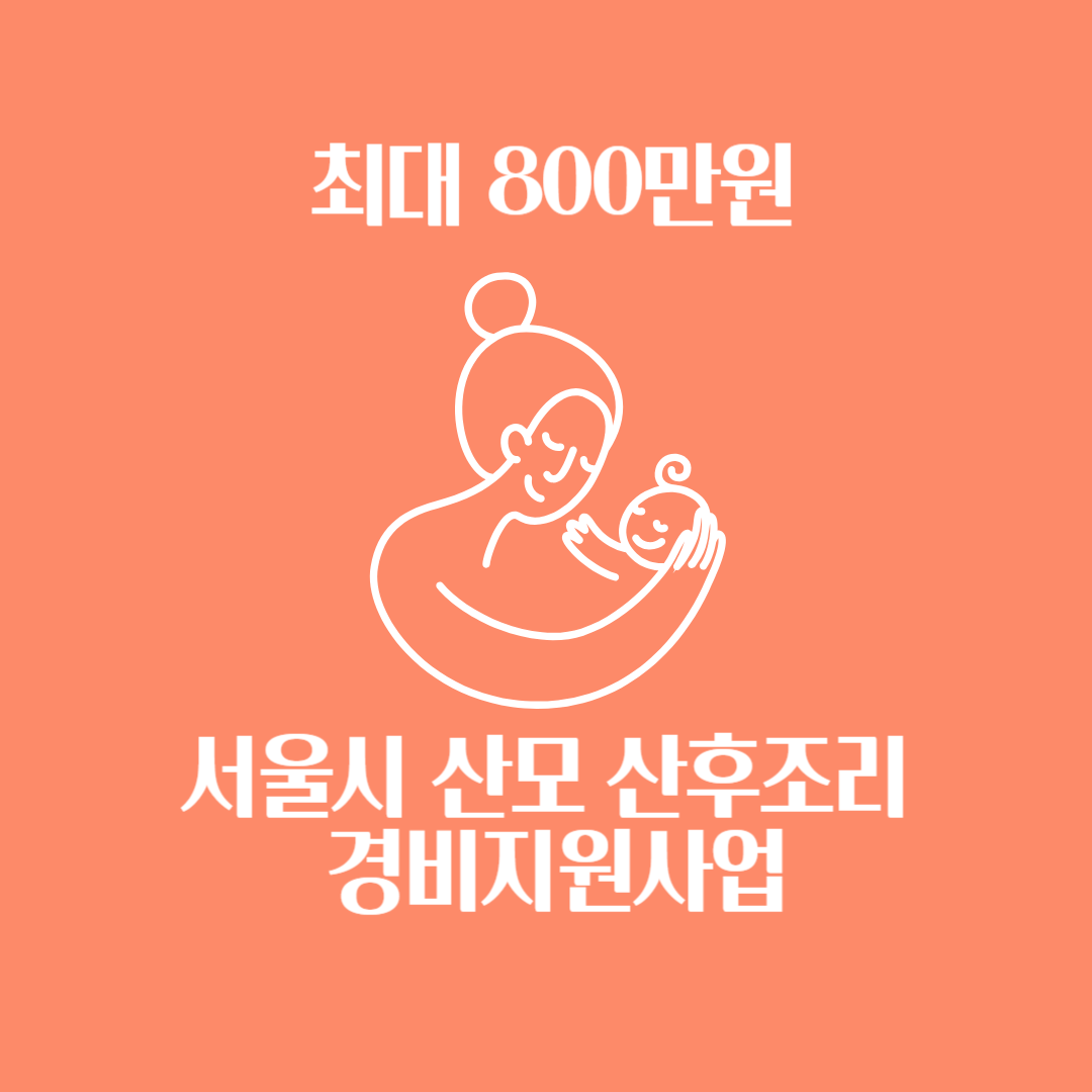 서울시 산모 산후조리 경비 지원